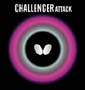 Challenger Attack