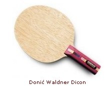 Waldner Dicon 