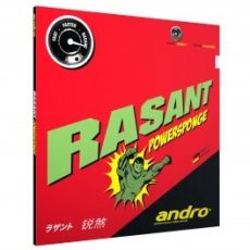 Andro Rasant Powersponge