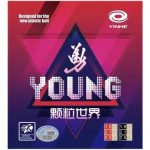 Yinhe Young