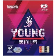 Yinhe Young Yinhe Young