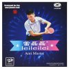 Yinhe Leileilei Anti Master