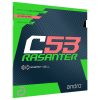 Andro Rasanter c 53